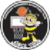 https://img.xtyyc.com/img/basketball/team/e416830f4083698237c559f8988ddb25.png