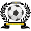 https://img.xtyyc.com/img/football/team/6dc6d59af2f0962597b412473a6708ee.png